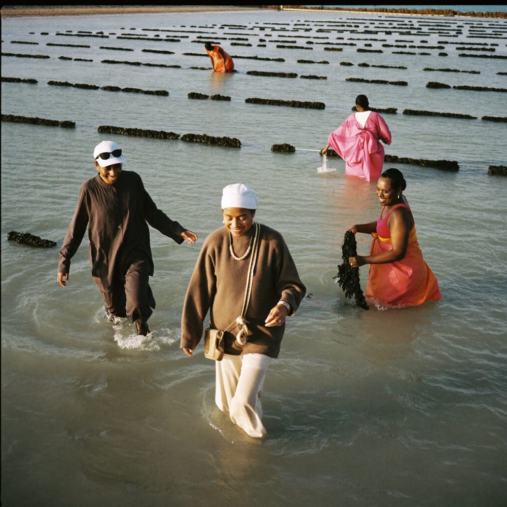 Wading between seaweed farm stakes in Zanzibar