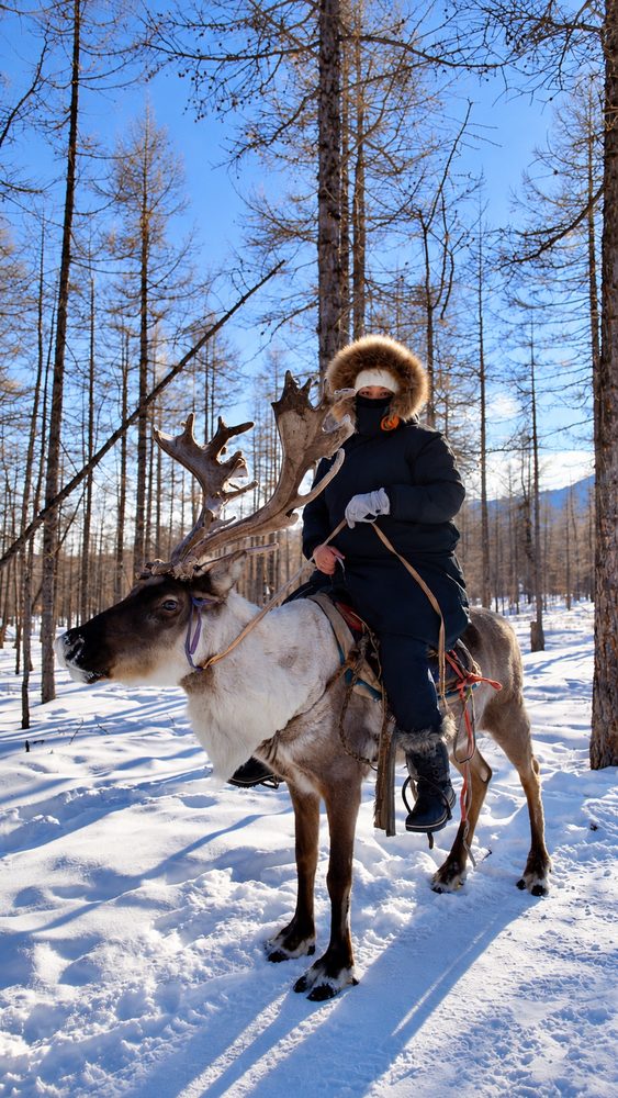 A woman riding a reindeer through a snowy forest